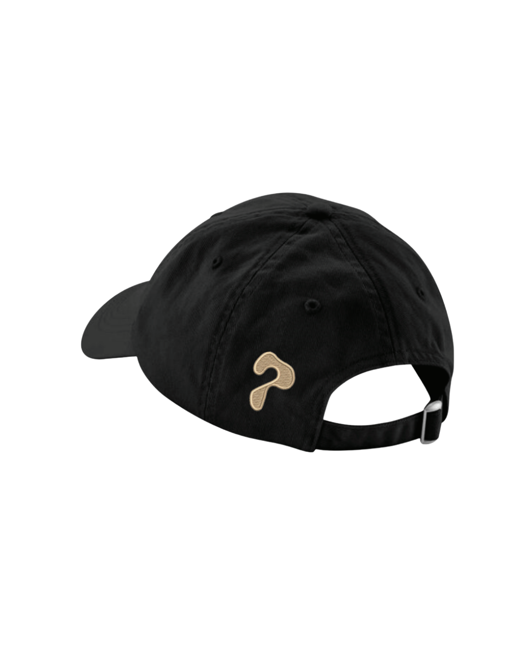 'Make Wetlands Wet Again' Cap - Black