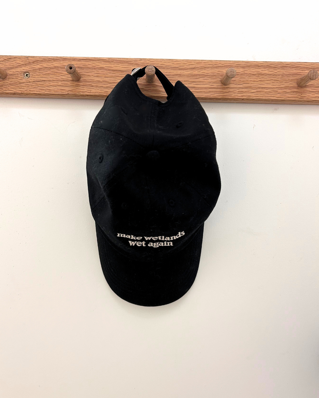 'Make Wetlands Wet Again' Cap - Black